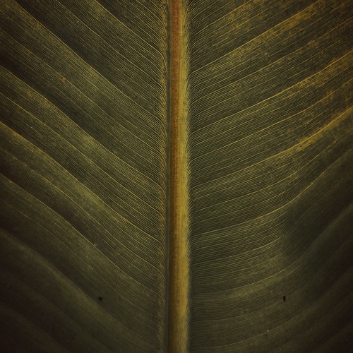 Photo #14137922