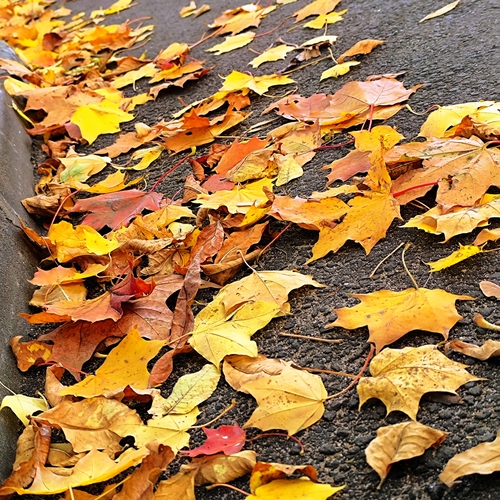 Photo #14137935