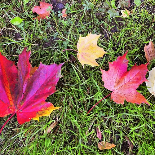 Photo #14137938