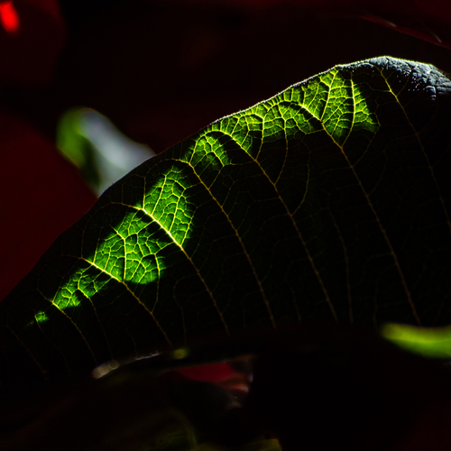 Photo #14138089