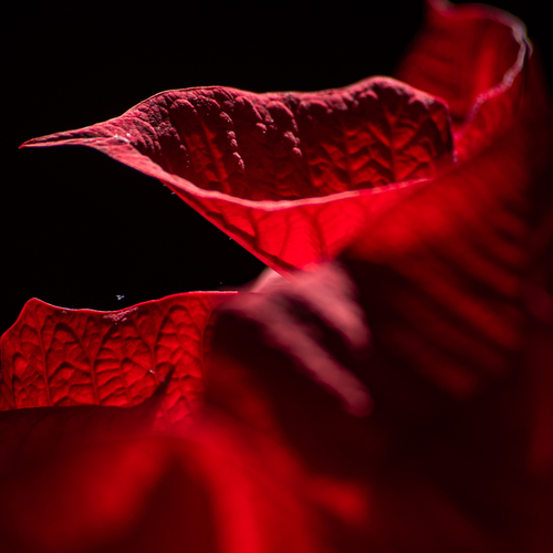 Photo #14138106