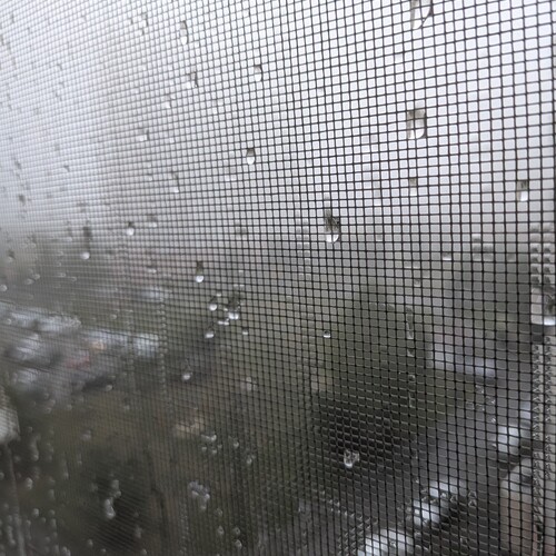 Photo #14138209