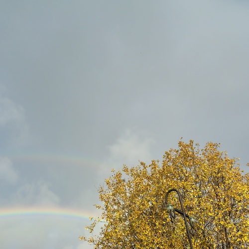 Photo #14138222
