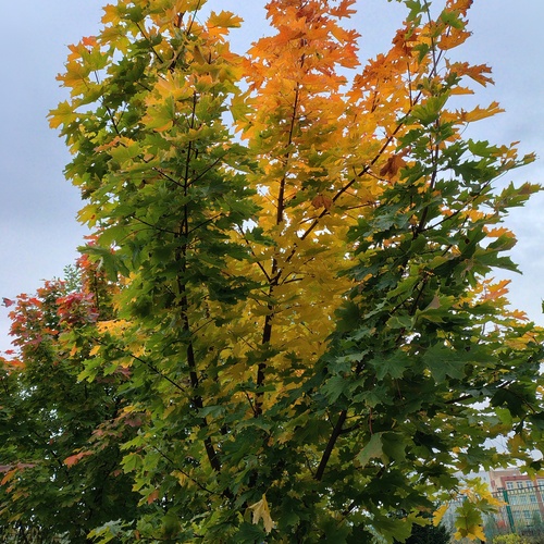 Photo #14138236