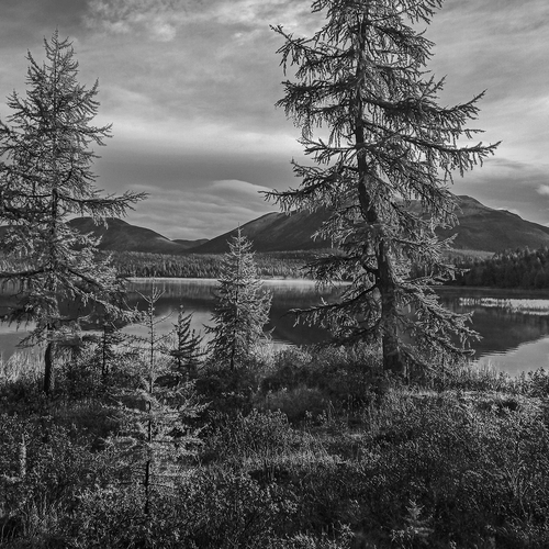 Photo #14138404