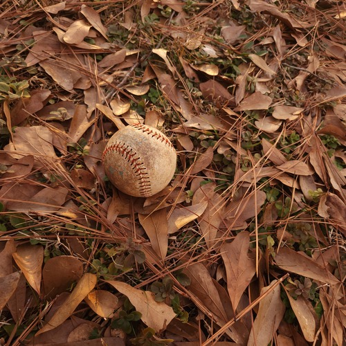 Photo #14138425