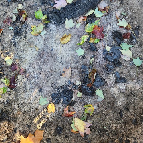 Photo #14138426