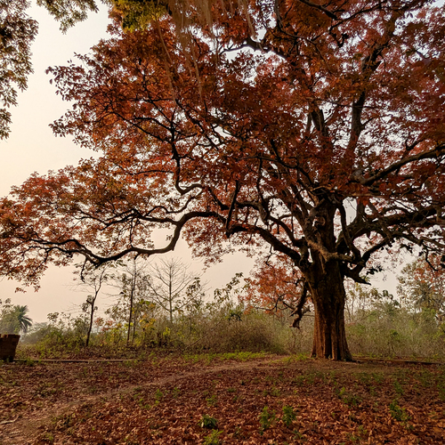 Photo #14138430