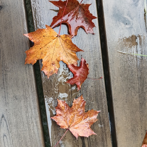 Photo #14138433