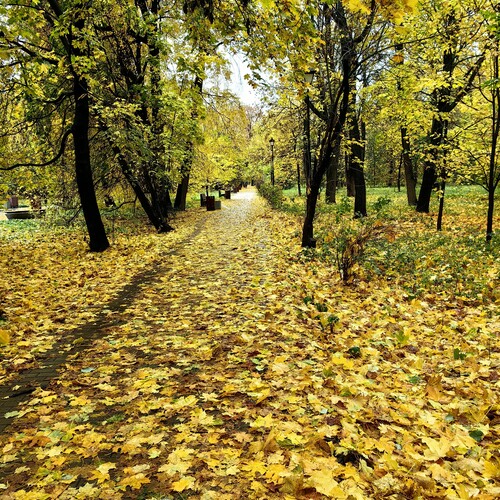 Photo #14138436
