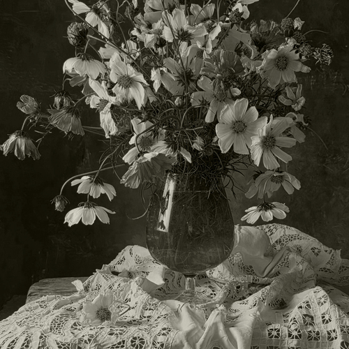 Photo #14138477