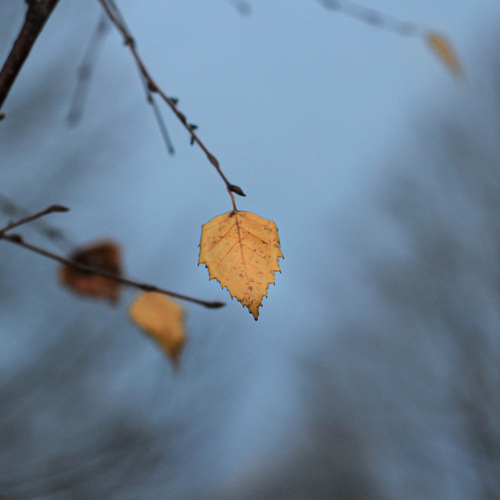 Photo #14138483