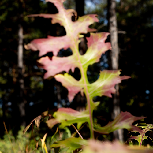 Photo #14138544