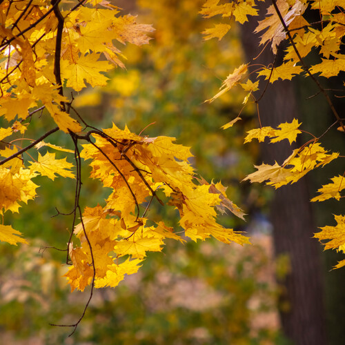 Photo #14138643