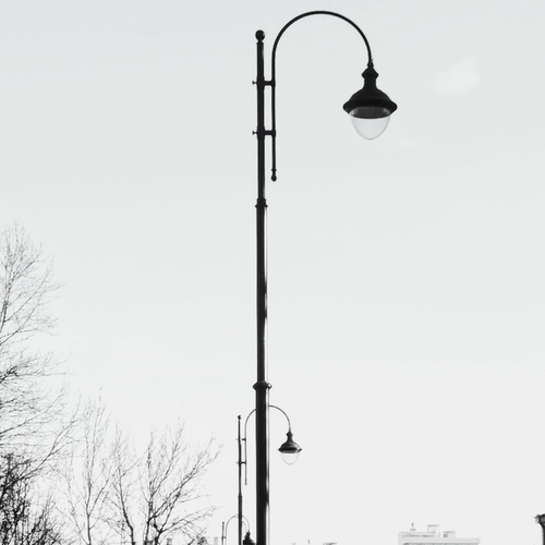 Photo #14138788