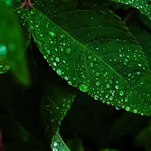 Photo #14138902