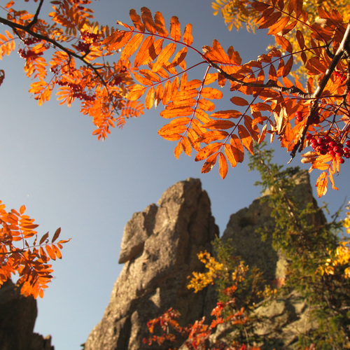 Photo #14139092