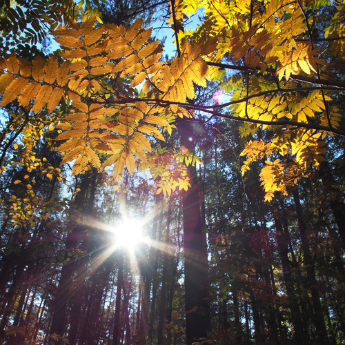Photo #14139124