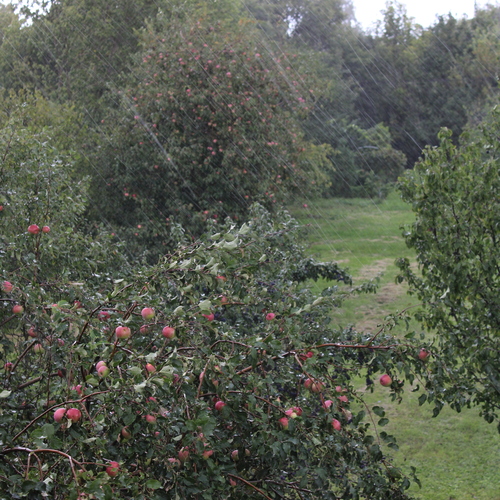 Photo #14139335