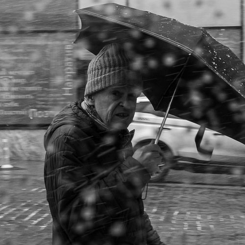 Photo #14139416