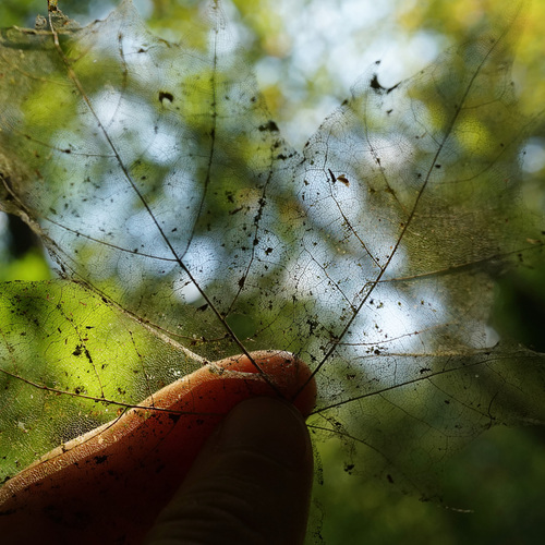 Photo #14139458