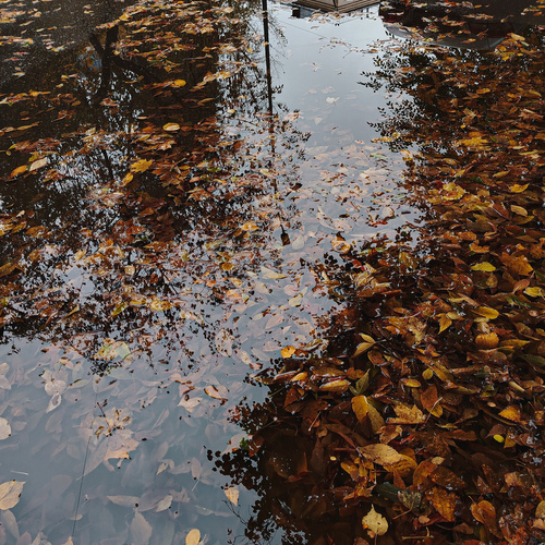 Photo #14139460
