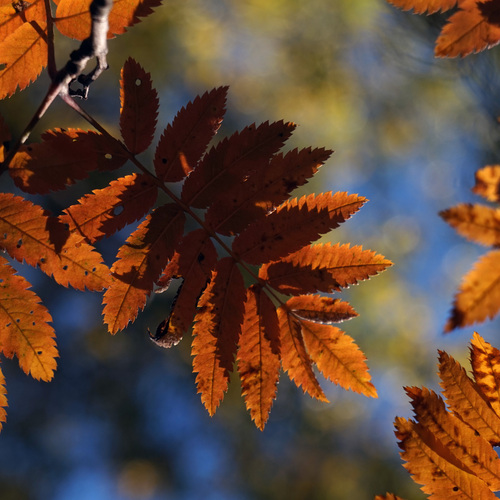 Photo #14139464