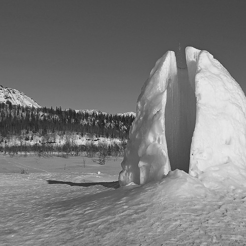 Photo #14139468