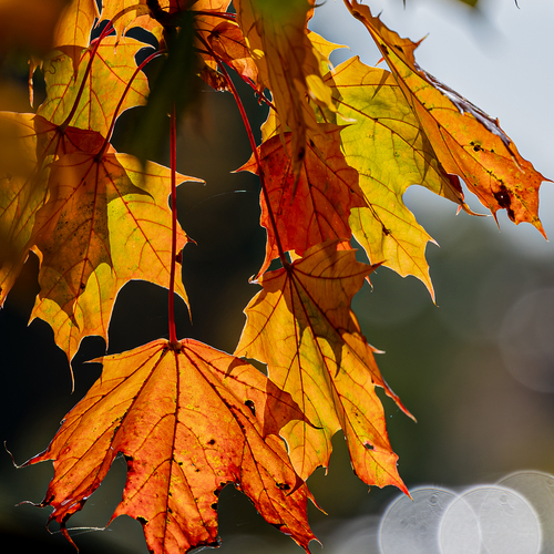 Photo #14139506