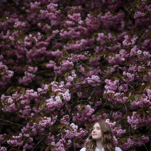 Photo #14139565