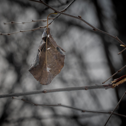 Photo #14139670