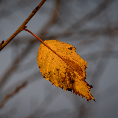 Photo #14139671