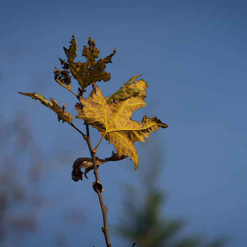 Photo #14139672