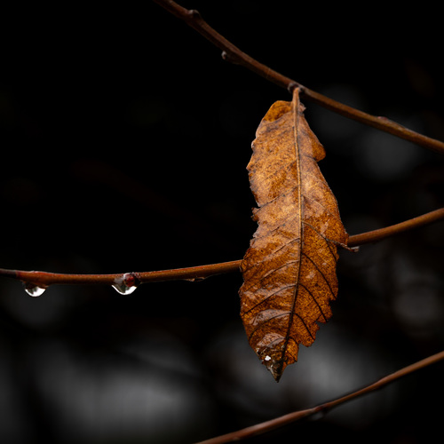 Photo #14139673