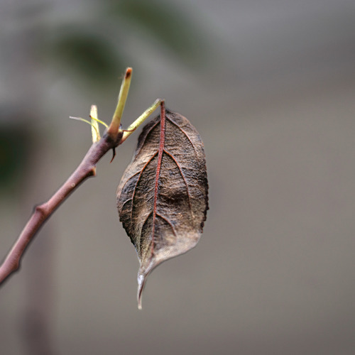 Photo #14139674