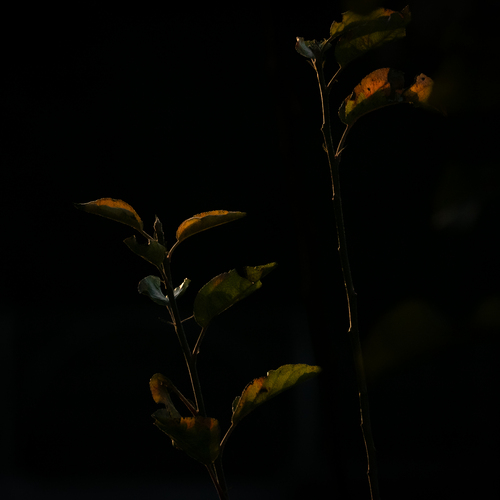 Photo #14139675