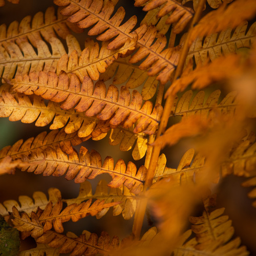 Photo #14139676