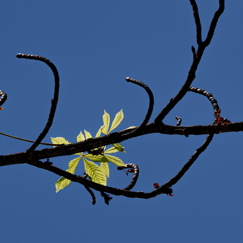 Photo #14139696