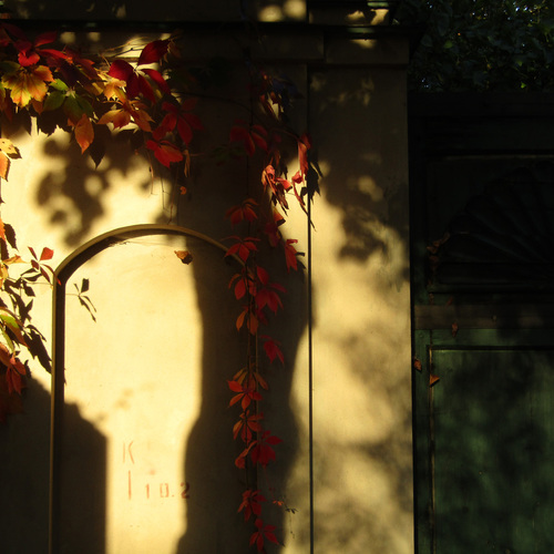 Photo #14139941