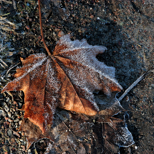 Photo #14140019