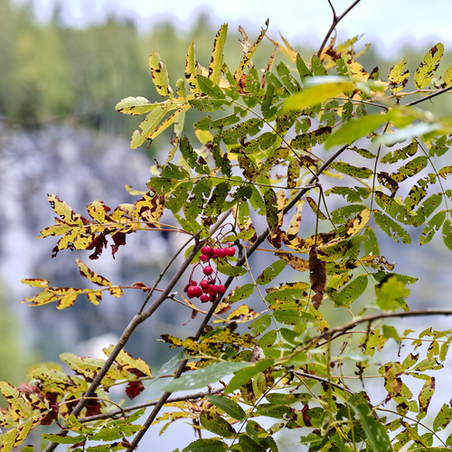 Photo #14140027