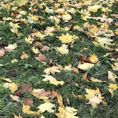 Photo #14140049