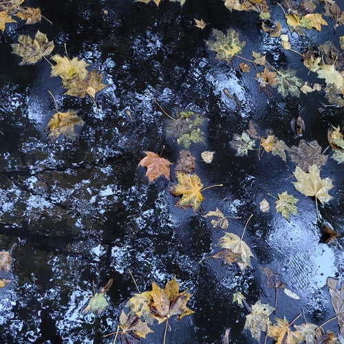 Photo #14140051