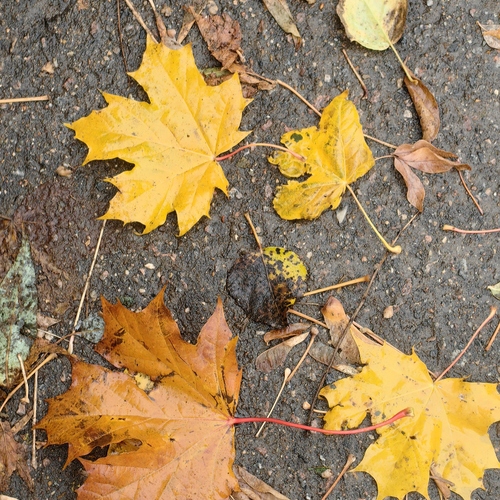 Photo #14140052