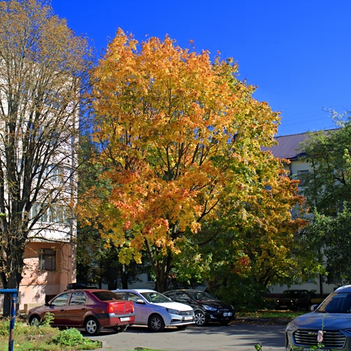 Photo #14140059