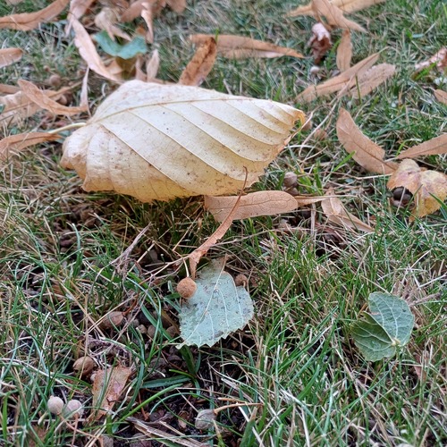 Photo #14140107