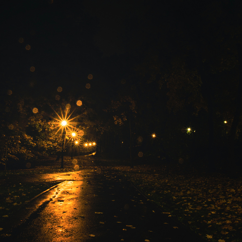 Photo #14140109