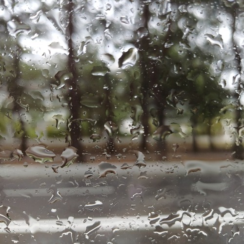 Photo #14140113
