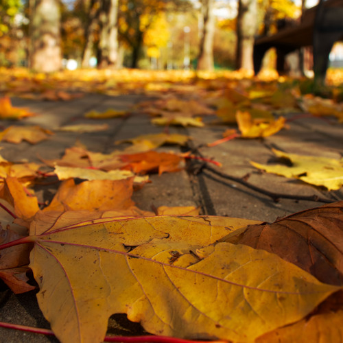 Photo #14140118