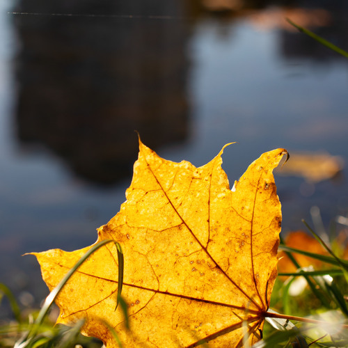 Photo #14140123